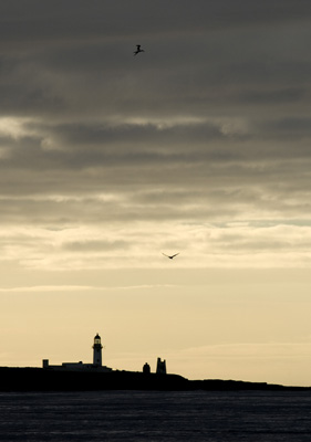 _5120835 Pentland Firth, Scotland