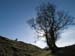 _2103236 Offa's Dyke at the Kerry Ridgeway 