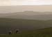 On Llanfair Hill, 2006