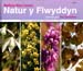 Natur y Flwyddyn