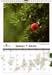 Sacred Space calendar 2011