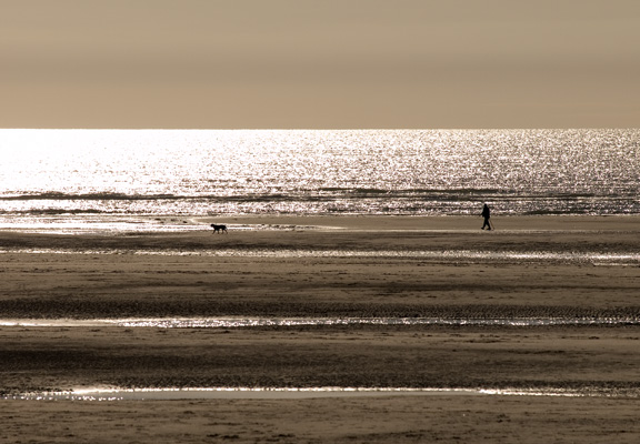 _4113311 Ynys Las, Ceredigion