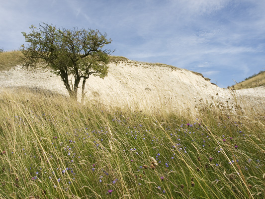 _8236048 On the Yorkshire Wolds Way, near Thixendale