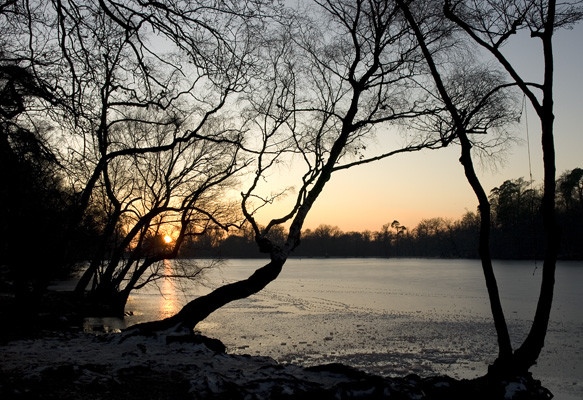 _C257097 Black Park Lake, Slough, Christmas Day 2009